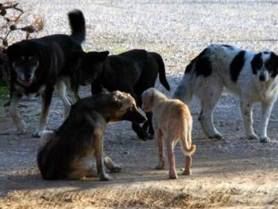 Σύσκεψη φορέων στο Αγρίνιο για τη διαχεί...