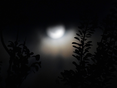 7 μοναδικά καρέ από το «φεγγάρι του κάστ...