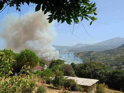 Άλσος Αιγιαλείας: Eπιχειρούν και σήμερα ...