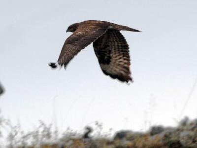 Τουρκία: Ελεύθερο το ύποπτο για κατασκοπ...