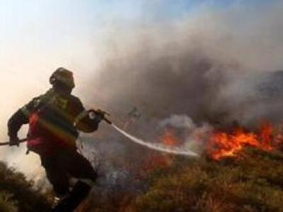 Hλεία Τώρα: Φωτιά στις εκβολές του Αλφει...