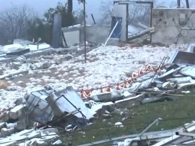 πηγή φωτογραφίας MEGA