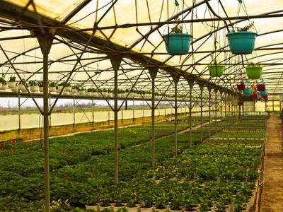 Κρήτη: Νεκρός αγρότης βρέθηκε μέσα στο θ...