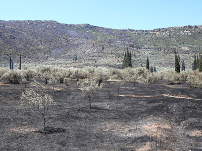Ενεργοποιήθηκε η υπηρεσία Copernicus για...