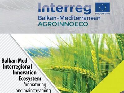 Πάτρα: 15 καινοτόμες επιχειρηματικές προ...