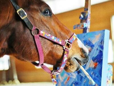 Βρετανία: Χαμός με το άλογο... Πικάσο! Δ...