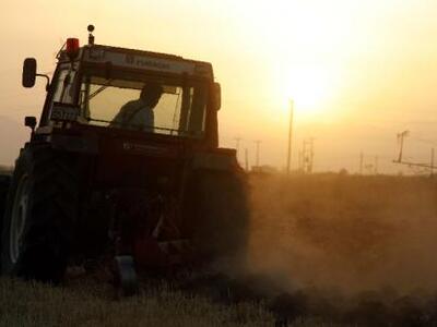 Ζάκυνθος: Φρικτός θάνατος ηλικιωμένου - ...