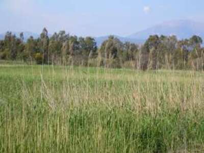 Κανένα πρόβλημα στον οικότοπο από τις ερ...