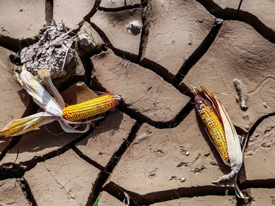 Γη σαν κομμένη με μαχαίρι