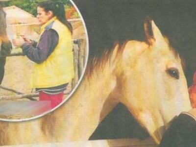 Η κόρη της Έλενας Ναθαναήλ και η συνταρα...