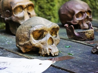 Οι επιστήμονες βρήκαν που “γεννήθηκε” ο ...