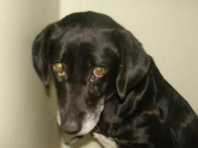 Πάτρα: Δύο χρόνια φυλακή και 4.000 ευρώ ...