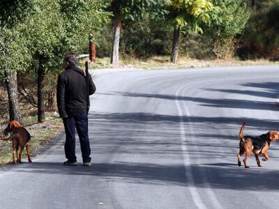 Απαγόρευση κυνηγιού στη Γαύδο