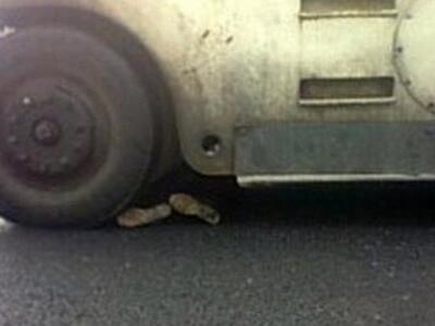 Απίστευτο! Συνέθλιψαν διαδηλωτή με οδοστρωτήρα!