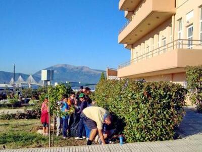 Πάτρα: Δενδροφύτευση και καθαρισμός του ...