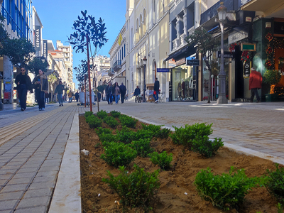Πάτρα: Ο κλέφτης των φυτών έλαβε μήνυμα....