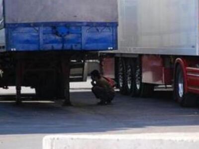 Πάτρα: Βρέθηκαν κρυμμένοι ανάμεσα σε κού...