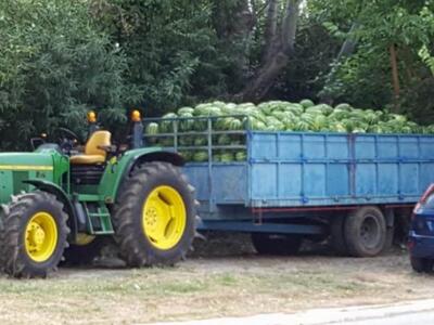 Πάτρα:Η συγκινητική προσφορά του αστυνομ...