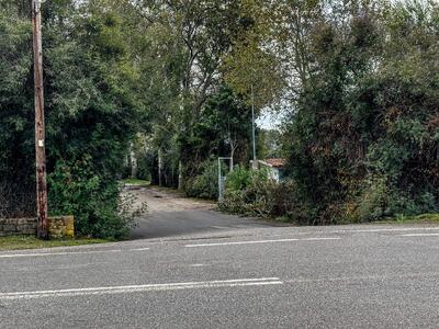 Μεσσηνία: Έρχονται νέα εντάλματα σύλληψη...