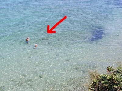 Ζάκυνθος: Αυτό που βρήκαν οι λουόμενοι σ...