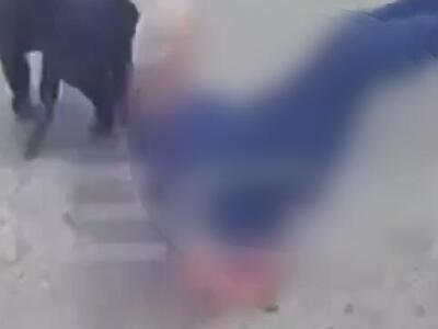 Καλαμάτα: Βίντεο σοκ από την επίθεση ροτ...