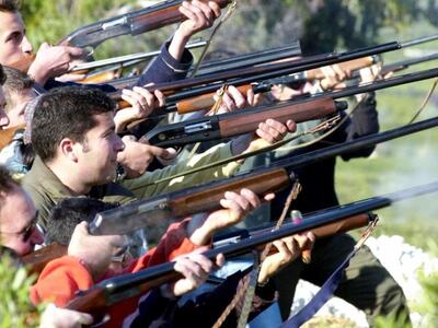 Απαγορεύτηκε το κυνήγι της πετροπέρδικας...