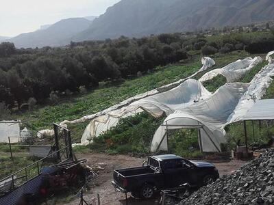 Αιγιάλεια : Μεγάλες ζημιές και σε αγροτι...