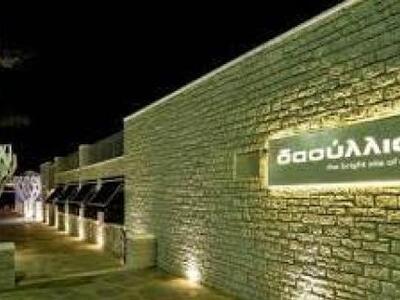 Το  «Δασύλλιο»  ανανεώνεται για το χειμώνα