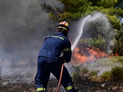 Αχαΐα: «Άλλα λένε στα χαρτιά, άλλα γίνον...