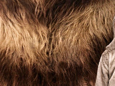 "Στη Χώρα των Μαγικών Πλασμάτων" 