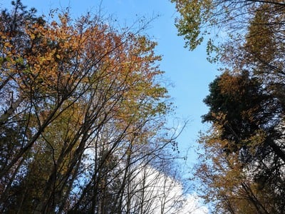 Μαρουσάκης: Τι καιρό θα κάνει τα Χριστο...