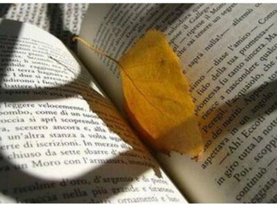 Πάτρα: Το Σάββατο η τελετή βράβευσης για...