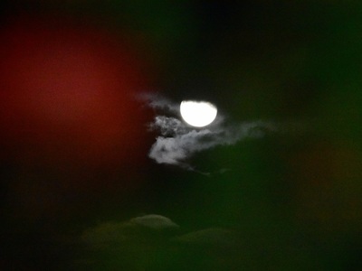 7 θεαματικές εικόνες από την Υπερπανσέλη...