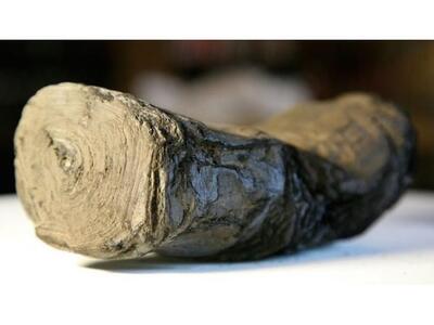 Για πρώτη φορά, διάβασαν με ακτίνες Χ ελ...