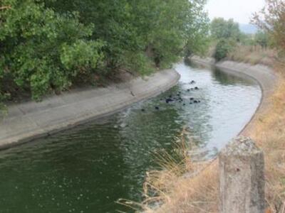 Γυναίκα πήδηξε στο ρέμα για να ''γλιτώσε...