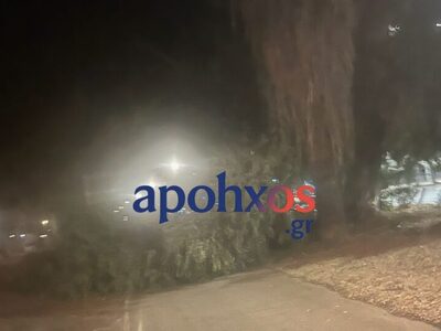 Πάτρα: Έπεσε δέντρο στο Νότιο Πάρκο- Από...