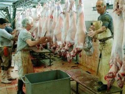 Αχαϊα: Όχι στην ιδιωτικοποίηση των Δημοτ...