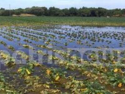 Ηλεία: Χρειάζονται... βάρκες στη Μανολάδ...