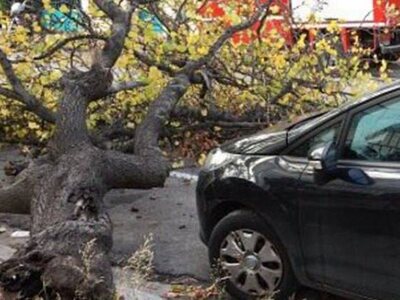 Έπεσε δένδρο στη Μαιζώνος - Τζάμι κρέμετ...