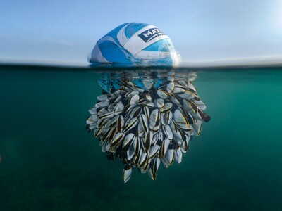 Ocean Drifter RYAN STALKER / BRITISH WIL...