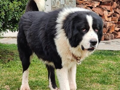 ΦΩΤΟ ΑΡΧΕΙΟΥ