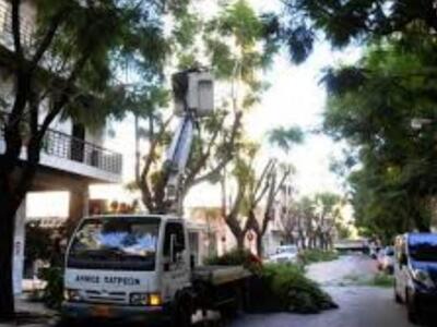 Πάτρα:Ο Δήμος κλαδεύει τα δένδρα σε Β. Η...