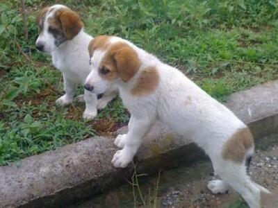 Εξώδικη διαμαρτυρία με αφορμή ανάρτηση τ...