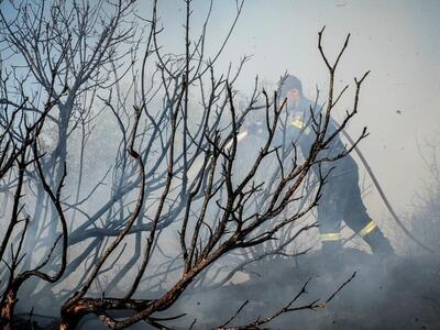 Πυρκαγιά στο Περιστέρι Ηλείας