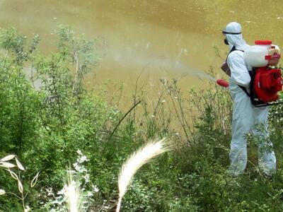 Πάτρα: Απο αύριο ο ψεκασμός στις συνοικί...