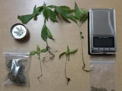 Πάτρα: 28χρονος καλλιεργούσε ναρκωτικά-&...