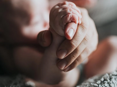 Αμαλιάδα: Ολοκληρώθηκαν τα πορίσματα του...