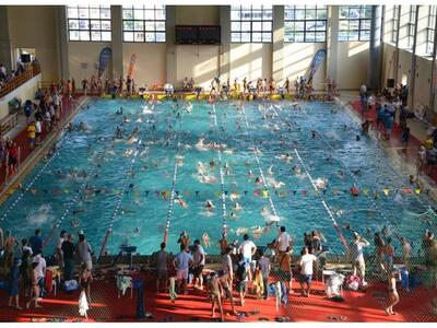 Η ΝΕΠ στο Πανελλήνιο πρωτάθλημα κολύμβησης 
