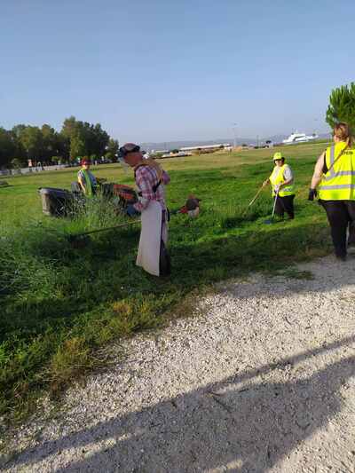 ΠΑΤΡΑ: Εργαζόμενοι στο τμήμα Πρασίνου κόβουν τα χόρτα σε διάφορα σημεία ΠΑΤΡΑ: Εργαζόμενοι στο τμήμα Πρασίνου κόβουν τα χόρτα σε διάφορα σημεία