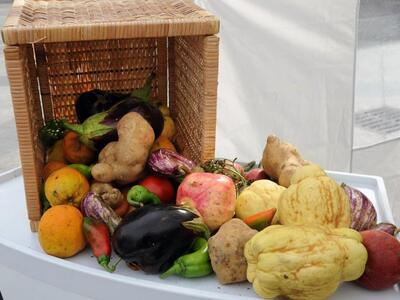 Τι πρέπει να τρώτε ανάλογα με την ομάδα ...